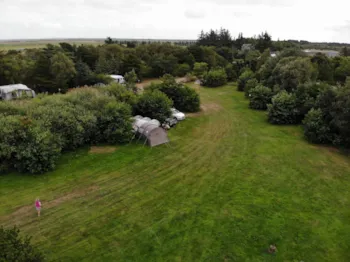 Pitch - Pitch - Tipperne Camping