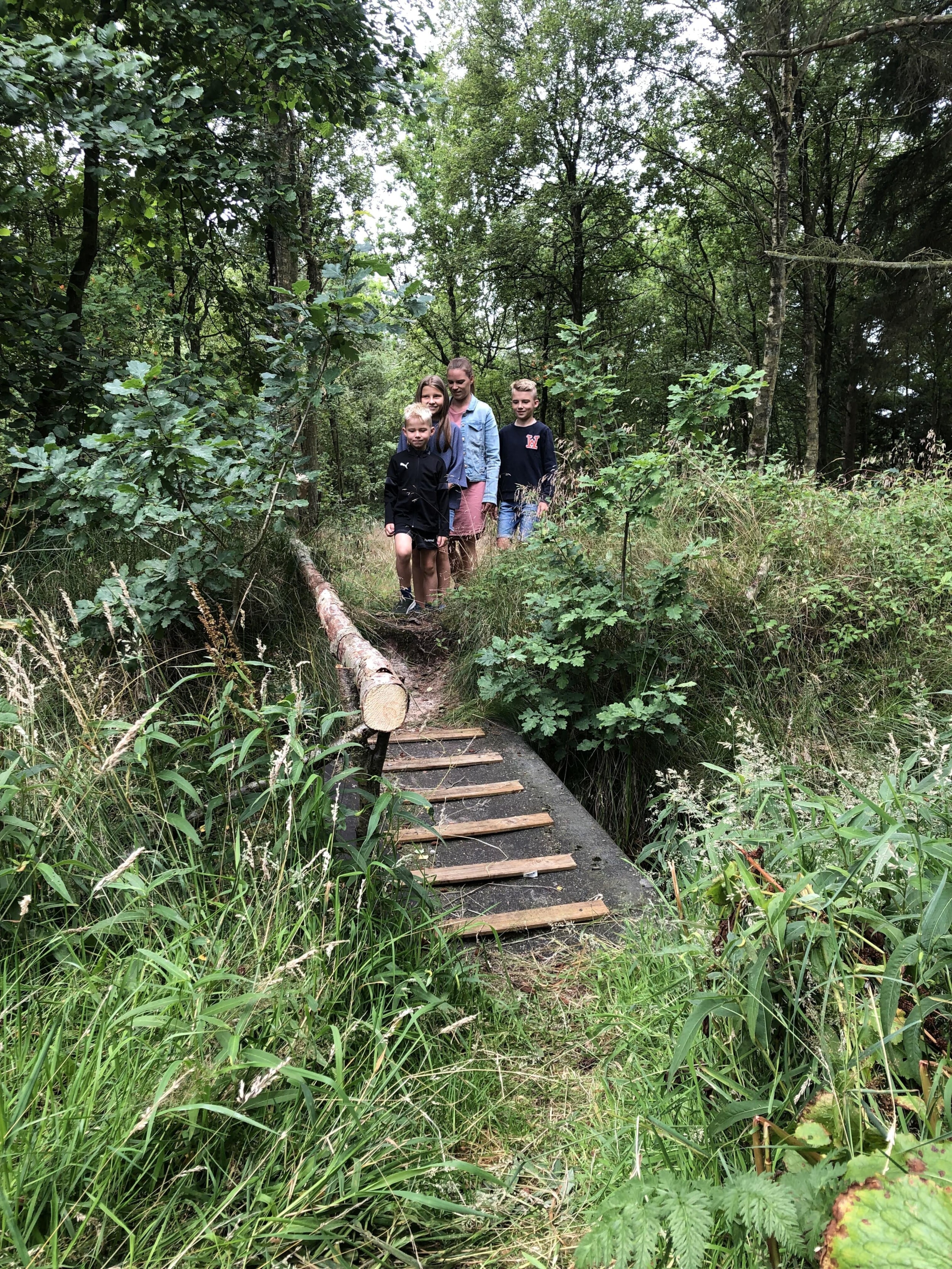 Tipperne Camping — Photo 10