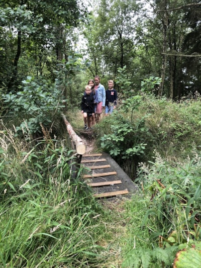 Tipperne Camping