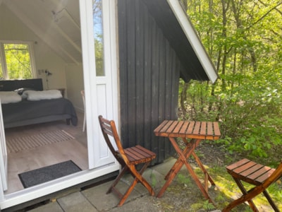 Forest cabin without shower/toilet