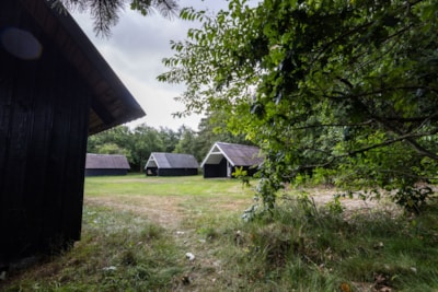 Forest cabin with shower/toilet