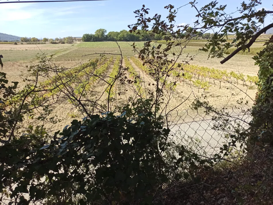 Camping Le Moulin à Vent