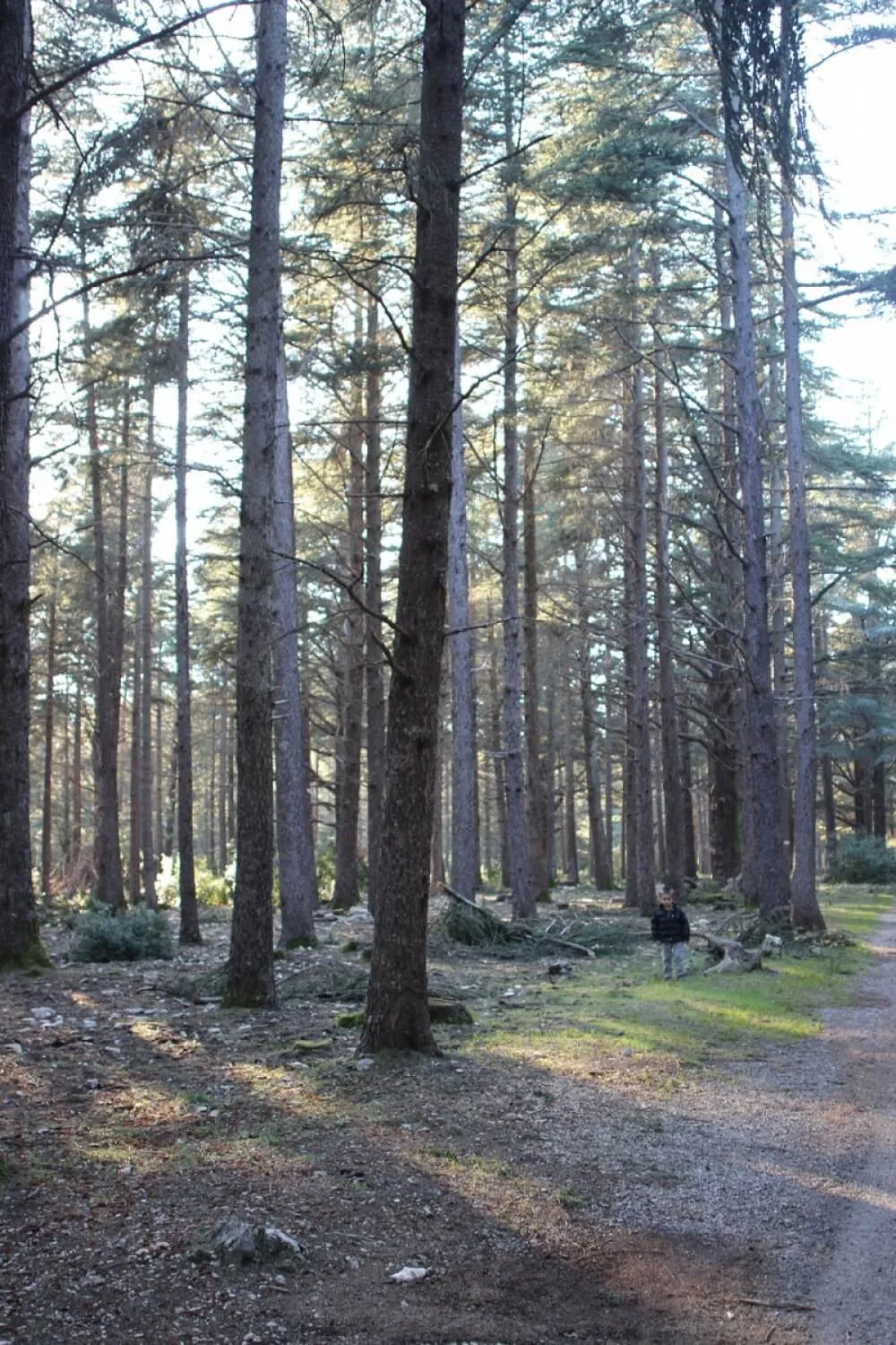 Camping Le Moulin à Vent