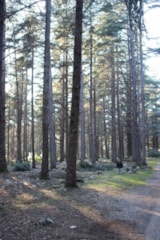 Foto #30 van Camping Le Moulin à Vent