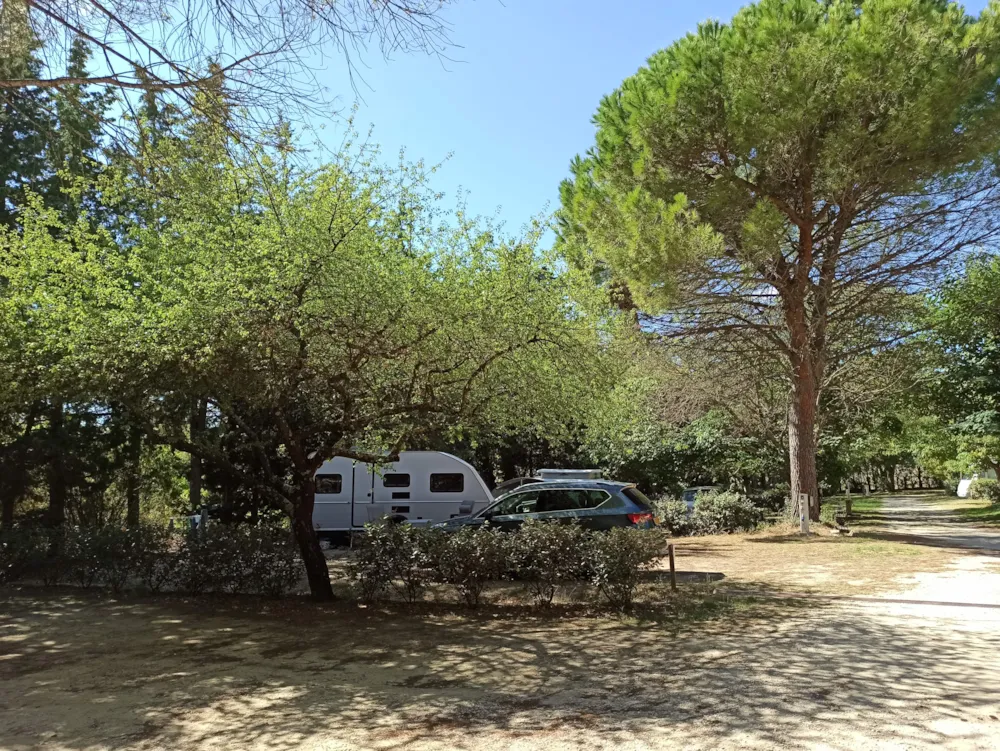 Stellplatz - Pauschale Stellplatz 1 Person + 1 Fahrzeug + Elektrizität - Camping Le Moulin à Vent
