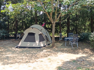 Comfort pitch 2 people + 1 vehicle + 10 A electricity — 9