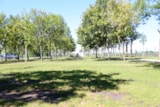 Foto #2 van Zicksee Camping