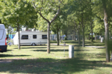 Foto #3 van Zicksee Camping