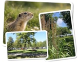 Foto #4 van Zicksee Camping