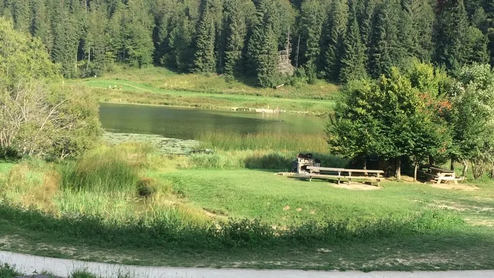 Camping Les Genêts - image n°30 - Ain