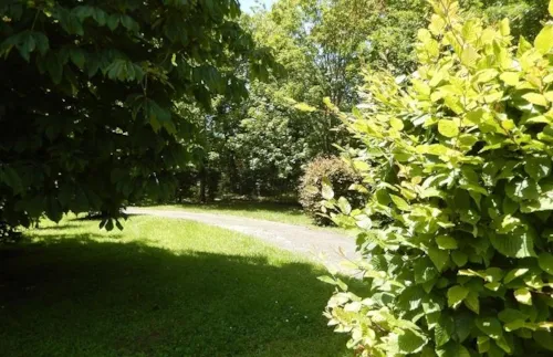 Emplacement - Emplacement Sans Électricité 1 Personne - image n°3 - Camping Les Genêts