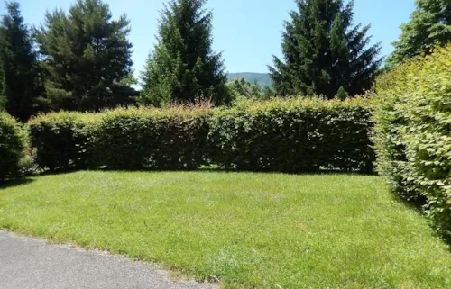 Emplacement - Forfait Randonneur Ou Cycliste 1 Personne - image n°5 - Camping Les Genêts