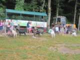 Foto #36 van Camping Ferme Pédagogique de Prunay