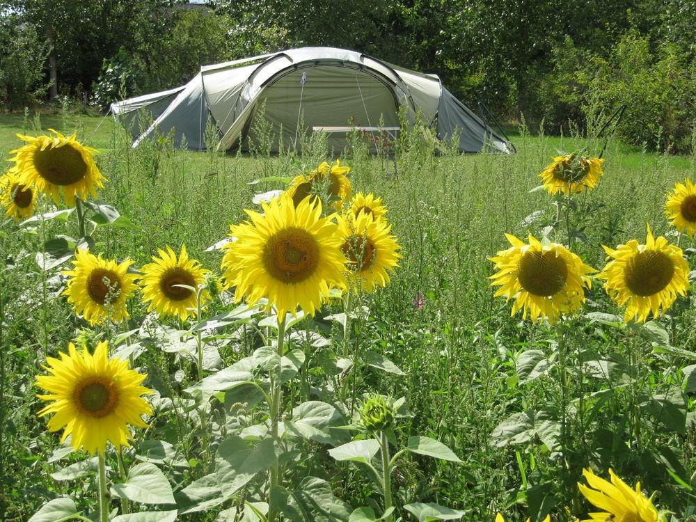Camping Ferme Pédagogique de Prunay — Photo 5