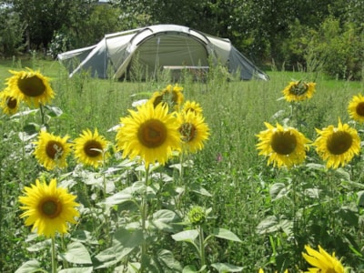 Camping Ferme Pédagogique de Prunay