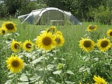 Foto #5 van Camping Ferme Pédagogique de Prunay