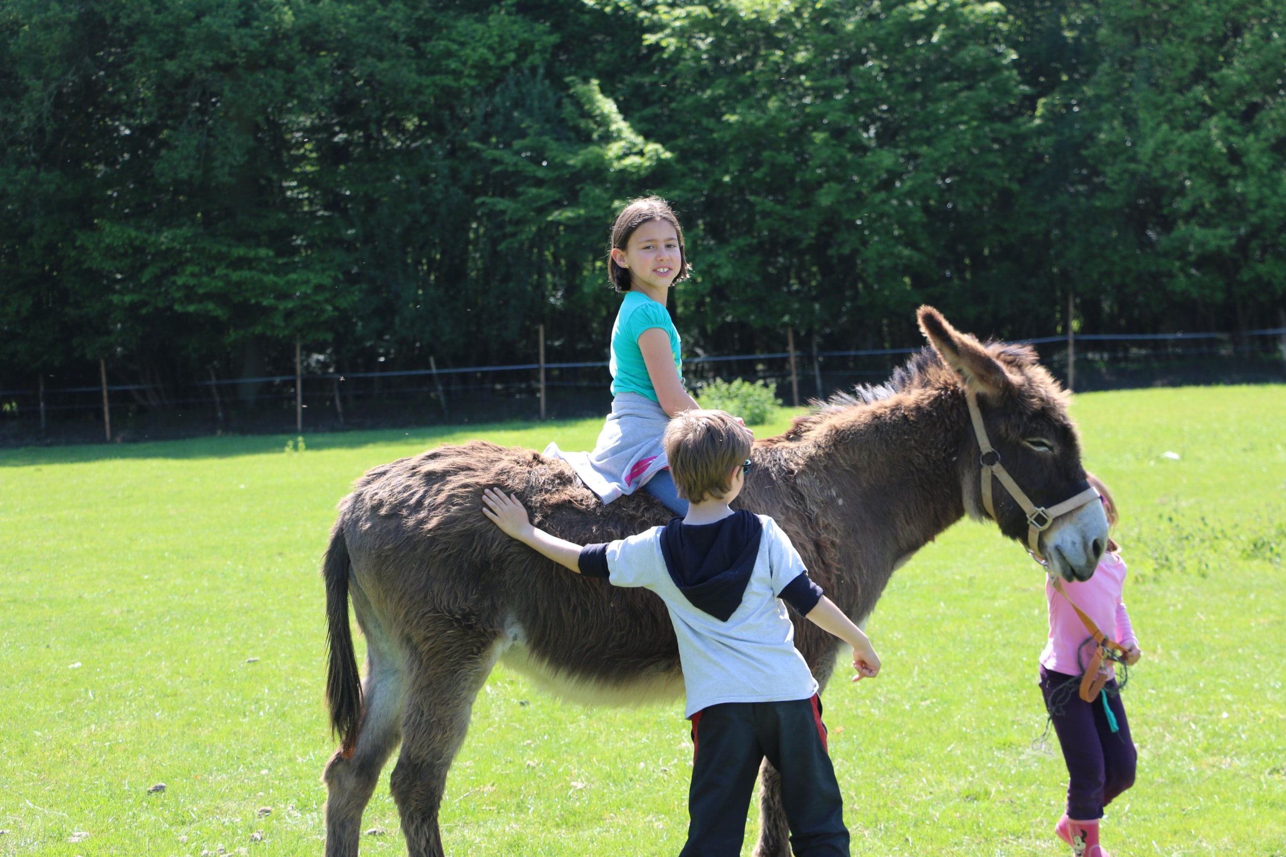 Camping Ferme Pédagogique de Prunay — Photo 4