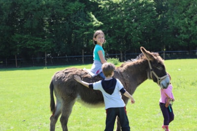 Camping Ferme Pédagogique de Prunay