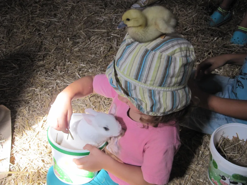 Camping Ferme Pédagogique de Prunay