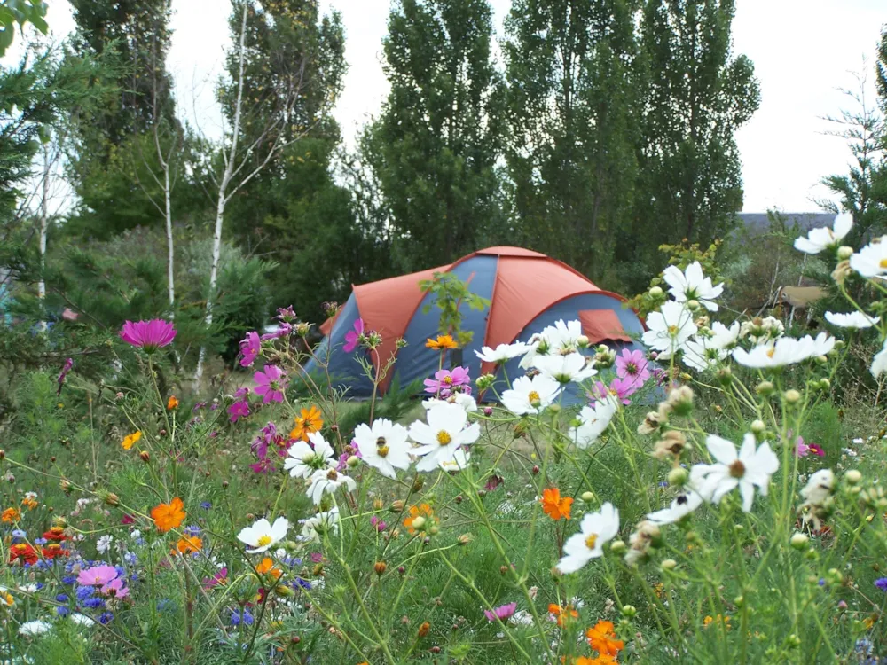 Camping Ferme Pédagogique de Prunay