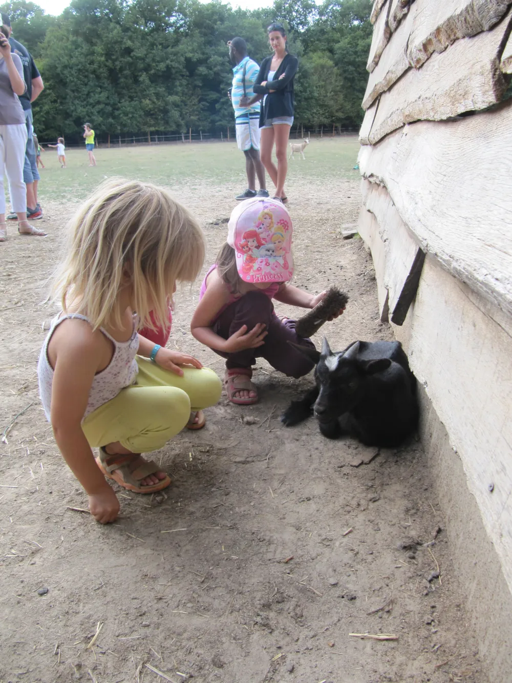 Camping Ferme Pédagogique de Prunay