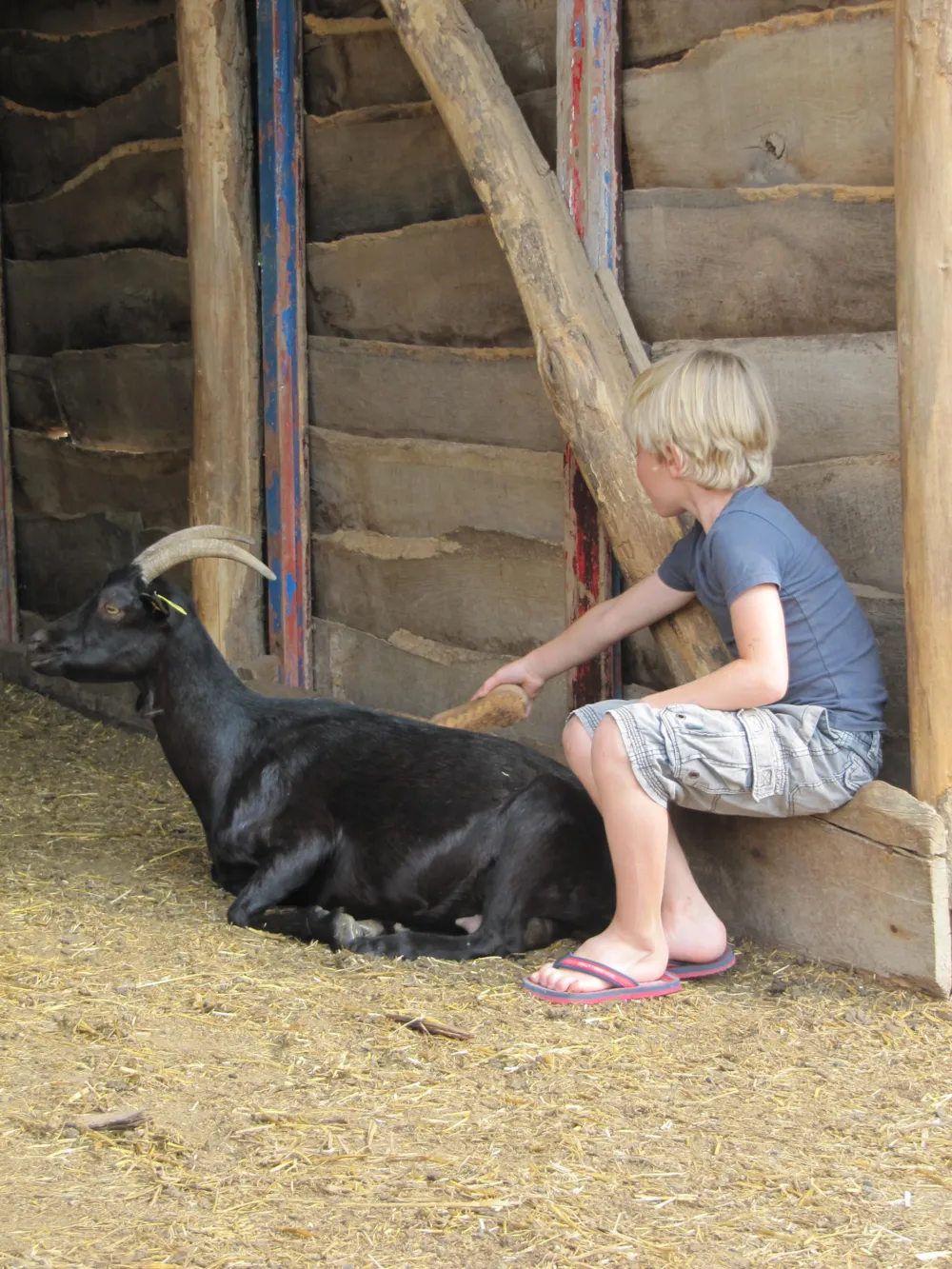 Camping Ferme Pédagogique de Prunay