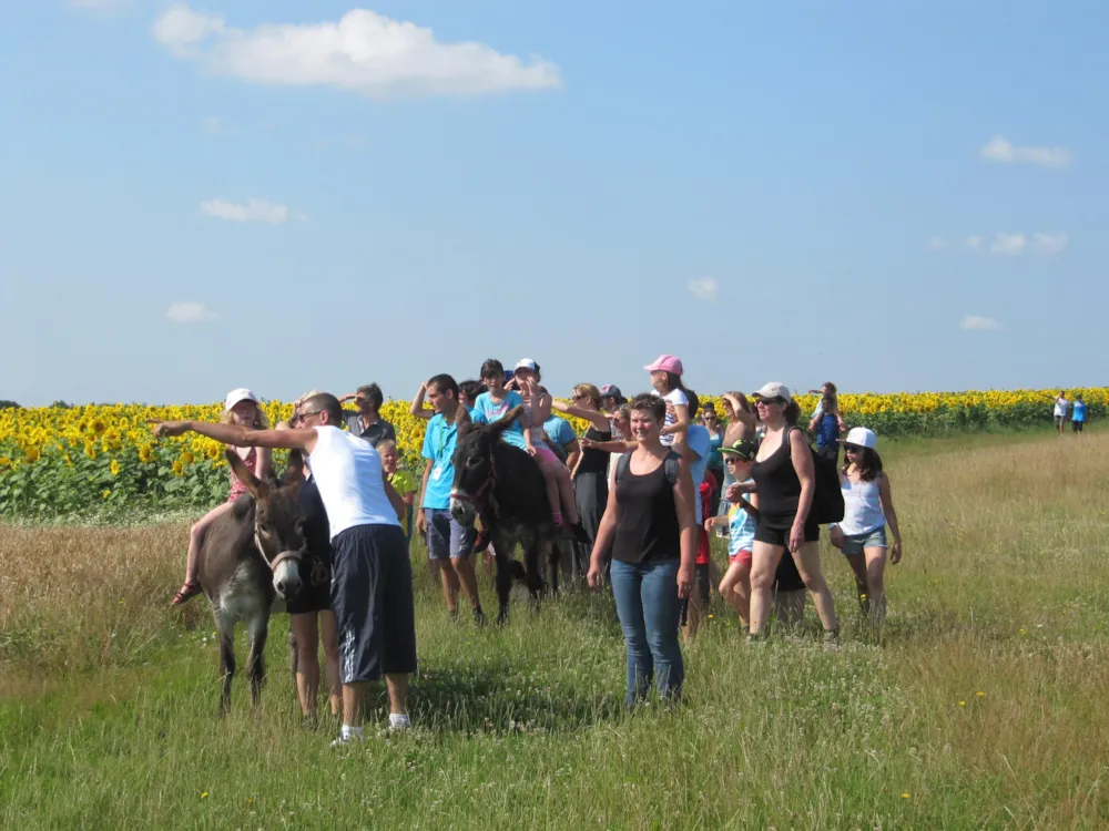 Camping Ferme Pédagogique de Prunay