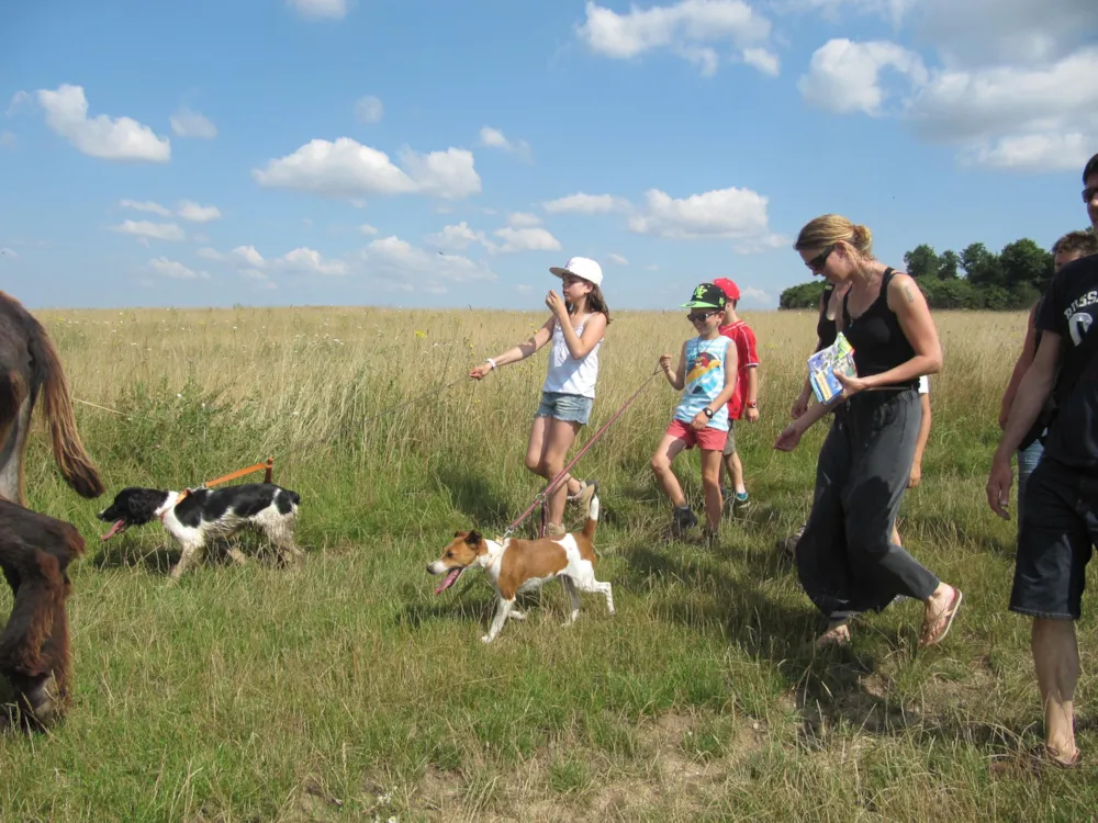 Camping Ferme Pédagogique de Prunay