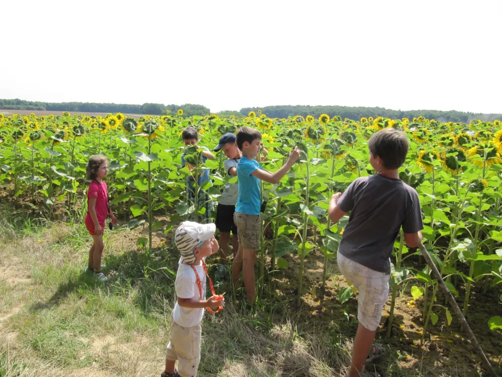 Camping Ferme Pédagogique de Prunay