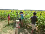 Foto #27 van Camping Ferme Pédagogique de Prunay