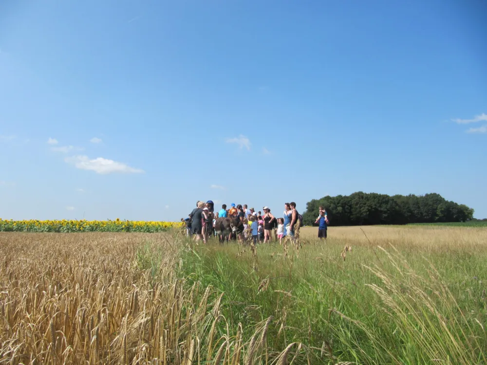 Camping Ferme Pédagogique de Prunay