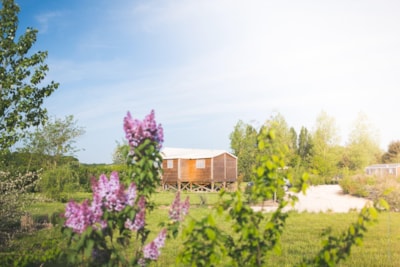 Canvas bungalow Carrelet on piles - 2 bedrooms