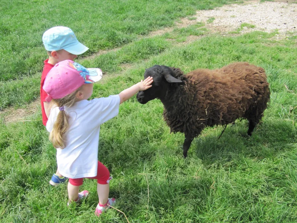Camping Ferme Pédagogique de Prunay