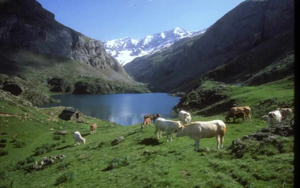 Sites et Paysages Pyrénévasion