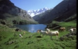 Foto #19 van Sites et Paysages Pyrénévasion