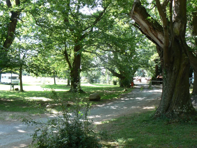 Forfait : Emplacement + 1 Voiture + 1 Tente Ou Caravane