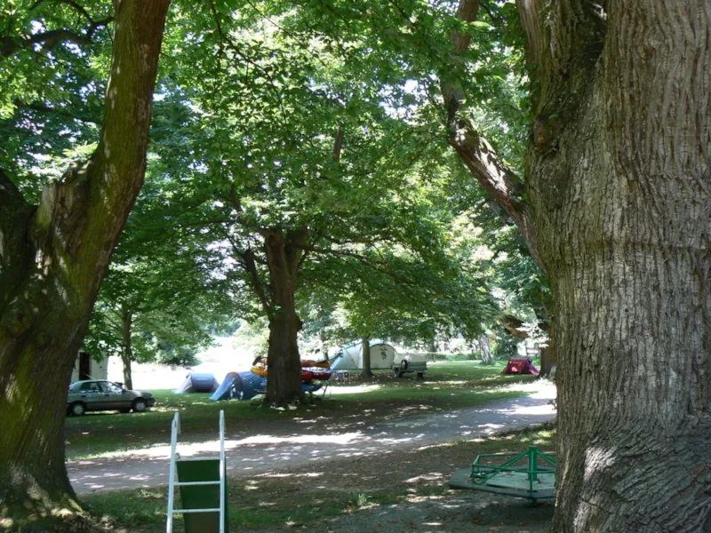 Forfait : Emplacement + 1 Voiture + 1 Tente Ou Caravane