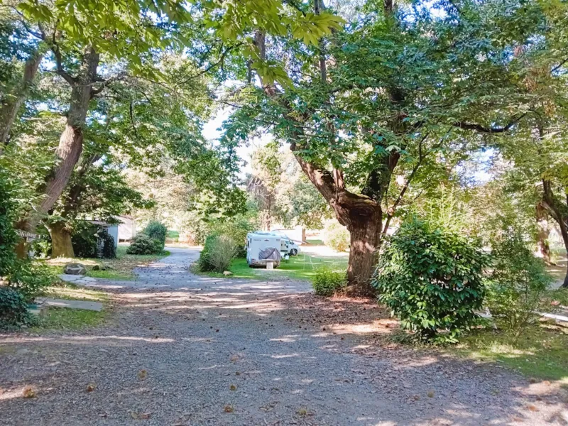 Forfait : Emplacement + 1 Voiture + 1 Tente Ou Caravane