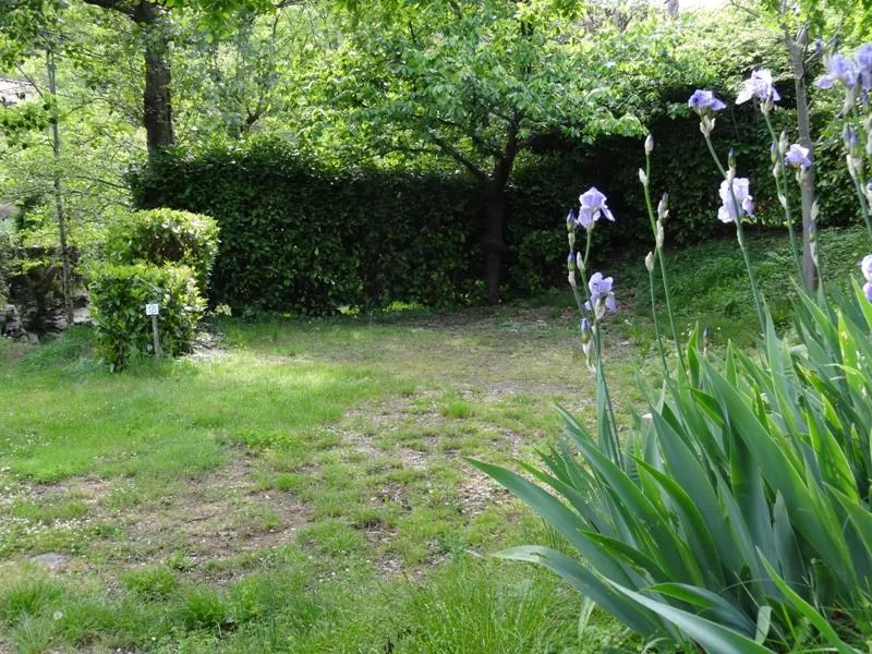 Forfait Duo: Emplacement Avec Électricité 6A + 1 Voiture