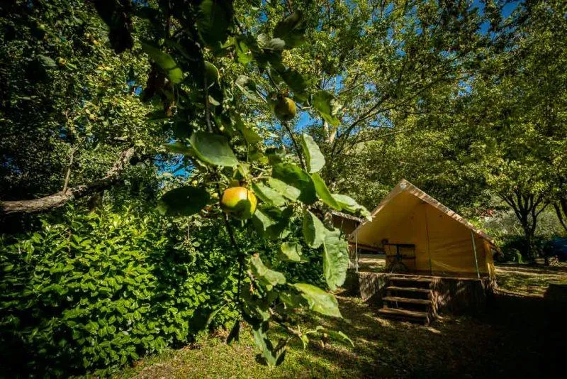 Canada Treck 12M² / 1 Chambre Sans Sanitaire