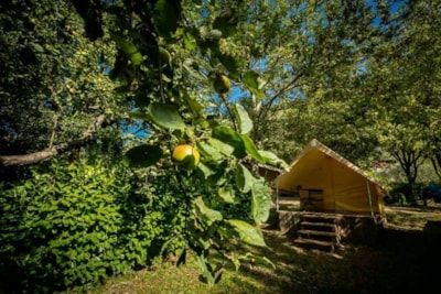 CANADA TRECK 12m² / 1 bedrooms - without toilet blocks — 4
