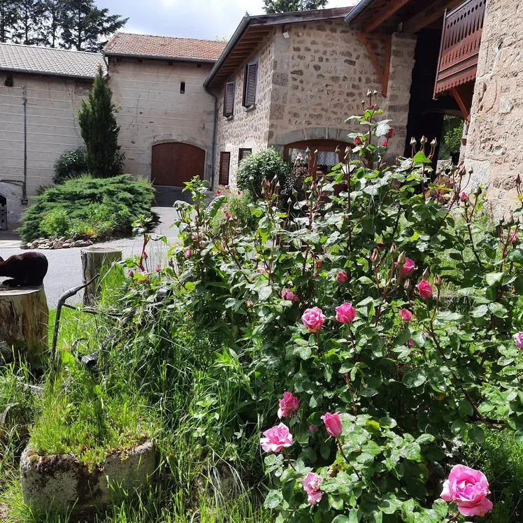 Camping Le Soleillant - image n°5 - RhoneAlpes