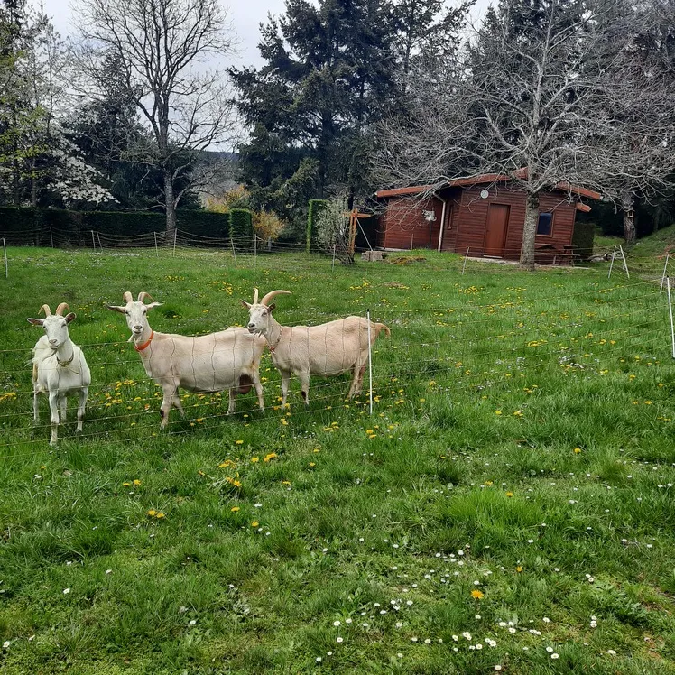 Camping Le Soleillant - image n°6 - RhoneAlpes