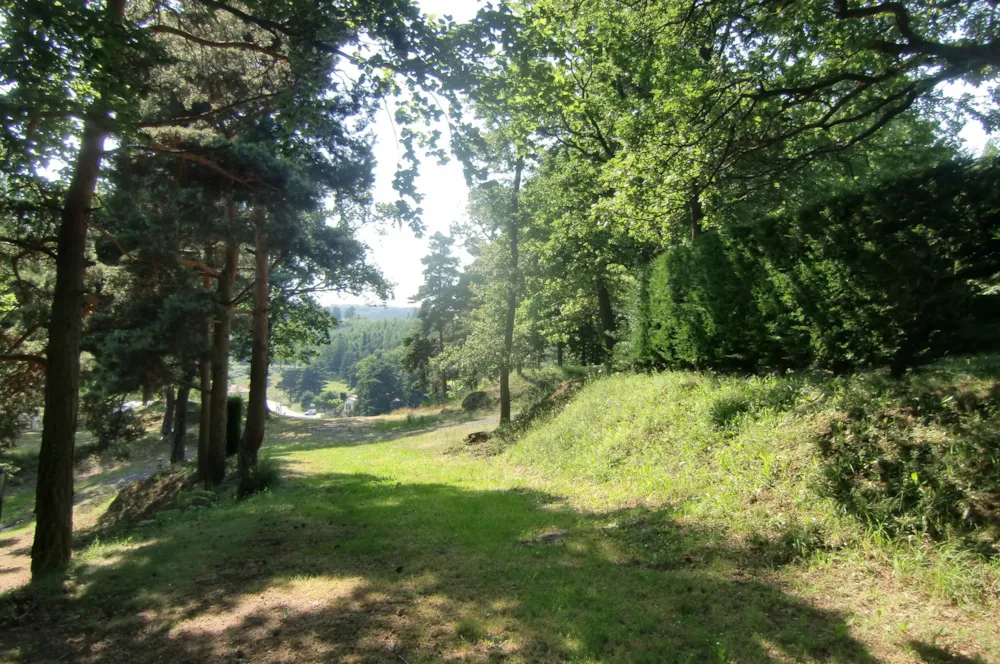 Camping Le Soleillant - image n°7 - RhoneAlpes