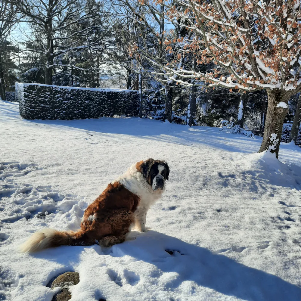 Camping Le Soleillant - image n°9 - RhoneAlpes