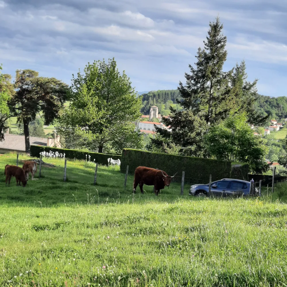 Camping Le Soleillant - image n°10 - RhoneAlpes