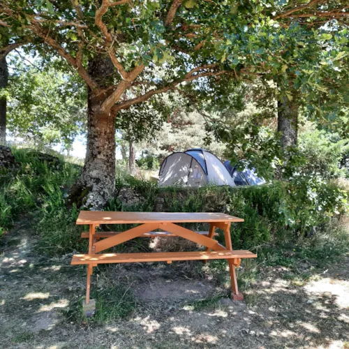 Stellplatz - 20 Terrassenplätze, Einzeln - image n°1 - Camping Le Soleillant