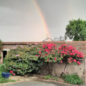Chambre - Kamer "L'envol des Hirondelles - Camping Le Soleillant