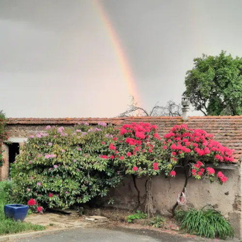 Kamer - Kamer "L'envol Des Hirondelles - image n°1 - Camping Le Soleillant