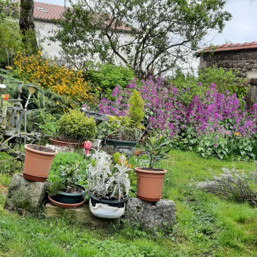 Kamer - Kamer "L'envol Des Hirondelles - image n°3 - Camping Le Soleillant